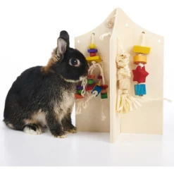 Oxbow Enriched Life Play Center Small Animal Toy, Large 11 Oxbow Enriched Life Play Center Small Animal Toy, Large -MiniMates Shop 200209 PT2. AC SS1800 V1661822935