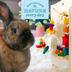 Oxbow Enriched Life Color Play Dangly Small Animal Toy -MiniMates Shop 200217 PT3. AC SS1800 V1661822813