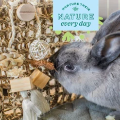 Oxbow Enriched Life Play Wall Small Animal Toy 13 Oxbow Enriched Life Play Wall Small Animal Toy -MiniMates Shop 200248 PT4. AC SS1800 V1662129893