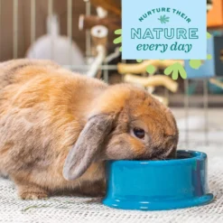 Oxbow Enriched Life Small Animal Water Bottle -MiniMates Shop 200260 PT3. AC SS1800 V1661821611