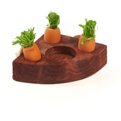 Kaytee Toss & Learn Carrot Game Small Pet Toy -MiniMates Shop 201241 PT2. AC SS1800 V1667862991