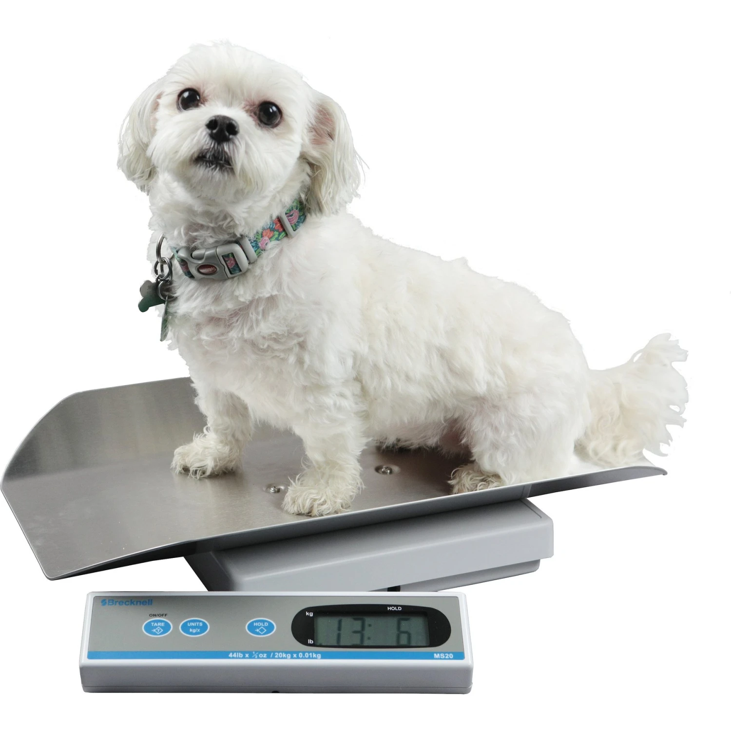 Brecknell MS20S Digital Pet Scale 1 Brecknell MS20S Digital Pet Scale