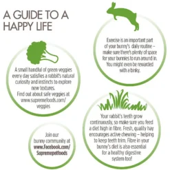 Science Selective Junior Rabbit Food, 4.4-lb Bag 12 Science Selective Junior Rabbit Food, 4.4-lb Bag -MiniMates Shop 217401 PT5. AC SS1800 V1602729403