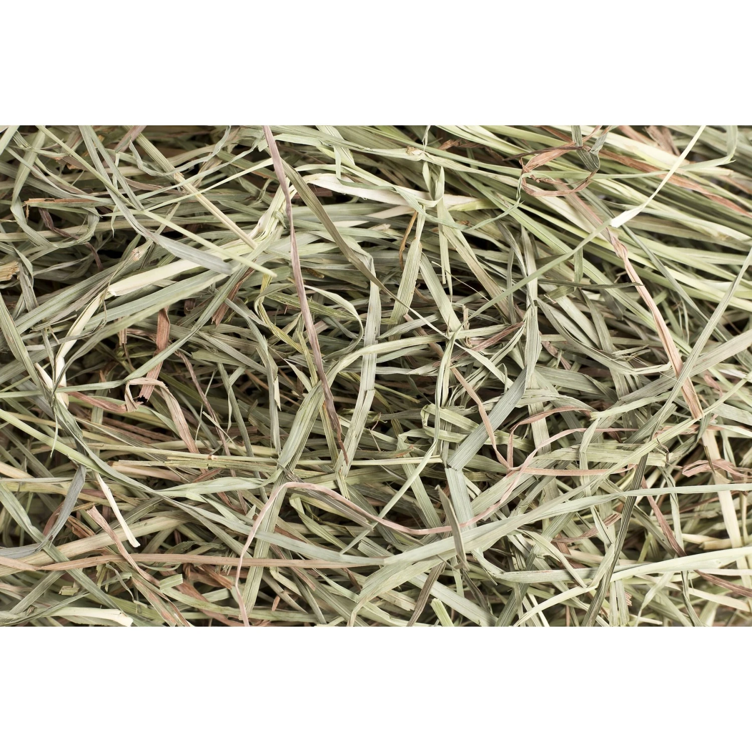 Small Pet Select Second Cut Timothy Hay Small Animal Food 2 Small Pet Select Second Cut Timothy Hay Small Animal Food - Image 2