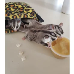 Exotic Nutrition Hangouts Deluxe Nest Small Animal Pouch, Assorted Colors -MiniMates Shop 219859 PT2. AC SS1800 V1665691650