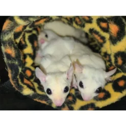 Exotic Nutrition Hangouts Deluxe Nest Small Animal Pouch, Assorted Colors -MiniMates Shop 219859 PT3. AC SS1800 V1665780154