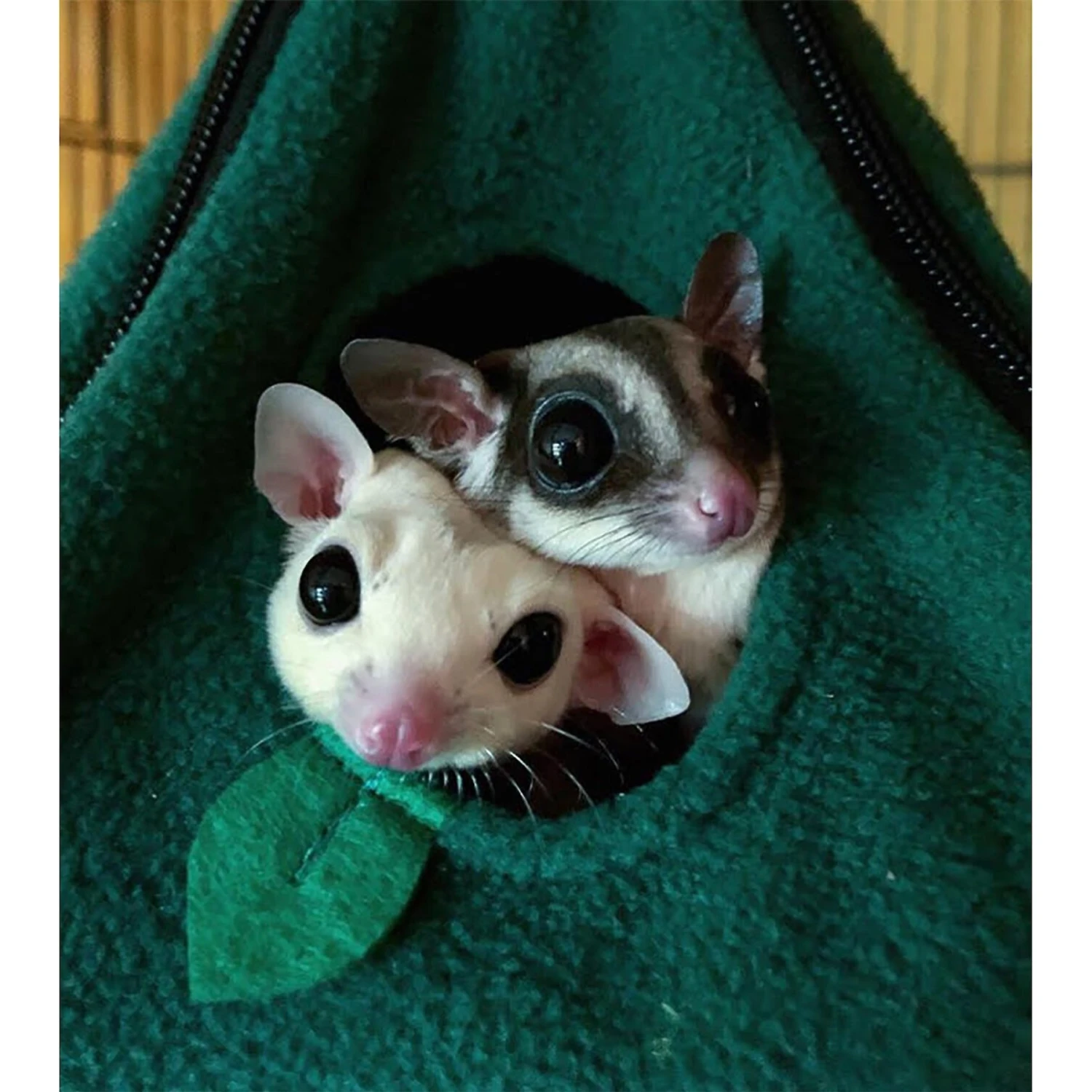 Exotic Nutrition Hangouts Pyramid Nest Small Animal Pouch 4 Exotic Nutrition Hangouts Pyramid Nest Small Animal Pouch - Image 4