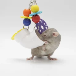 Exotic Nutrition PVC Forager Small Animal Toy -MiniMates Shop 219867 PT2. AC SS1800 V1665756833