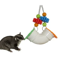 Exotic Nutrition PVC Forager Small Animal Toy -MiniMates Shop 219867 PT3. AC SS1800 V1665692112