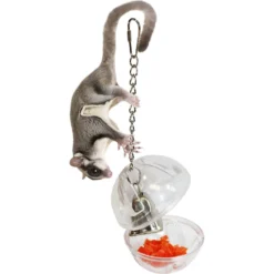 Exotic Nutrition Forage Globe Small Animal Toy 11 Exotic Nutrition Forage Globe Small Animal Toy -MiniMates Shop 219871 PT4. AC SS1800 V1665779661