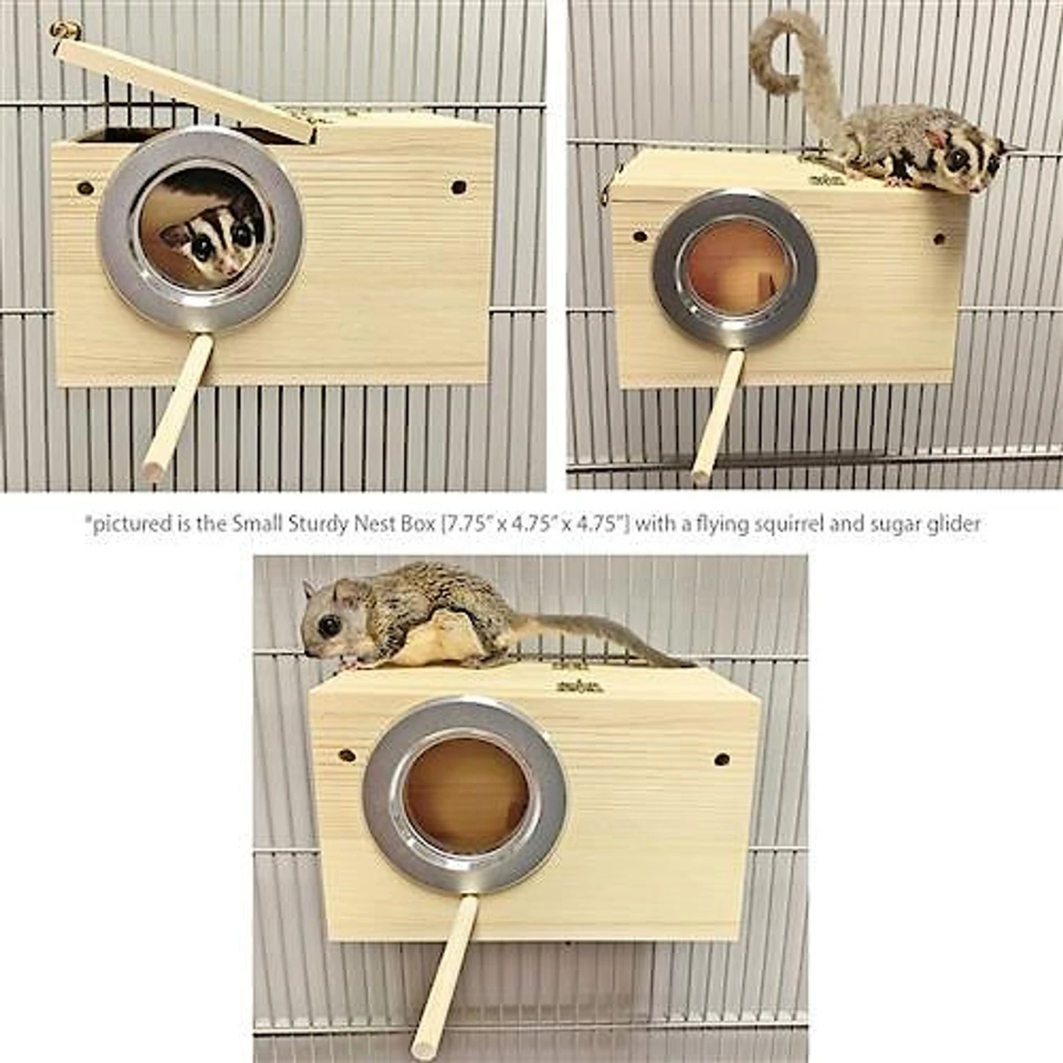 Exotic Nutrition Small Animal Nest Box 3 Exotic Nutrition Small Animal Nest Box - Image 3