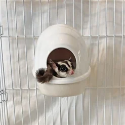 Exotic Nutrition No Mess Press N' Slide Small Animal Feeding Station -MiniMates Shop 219881 PT4. AC SS1800 V1647461193