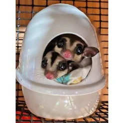 Exotic Nutrition No Mess Press N' Slide Small Animal Feeding Station -MiniMates Shop 219881 PT5. AC SS1800 V1647460922