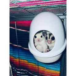 Exotic Nutrition No Mess Press N' Slide Small Animal Feeding Station -MiniMates Shop 219881 PT7. AC SS1800 V1647460325