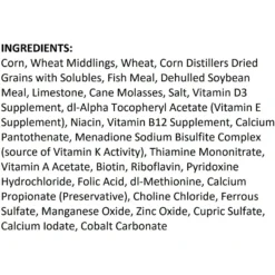 Exotic Nutrition Rodent Blocks Small Animal Food, 1-lb Bag -MiniMates Shop 220400 PT3. AC SS1800 V1595954464