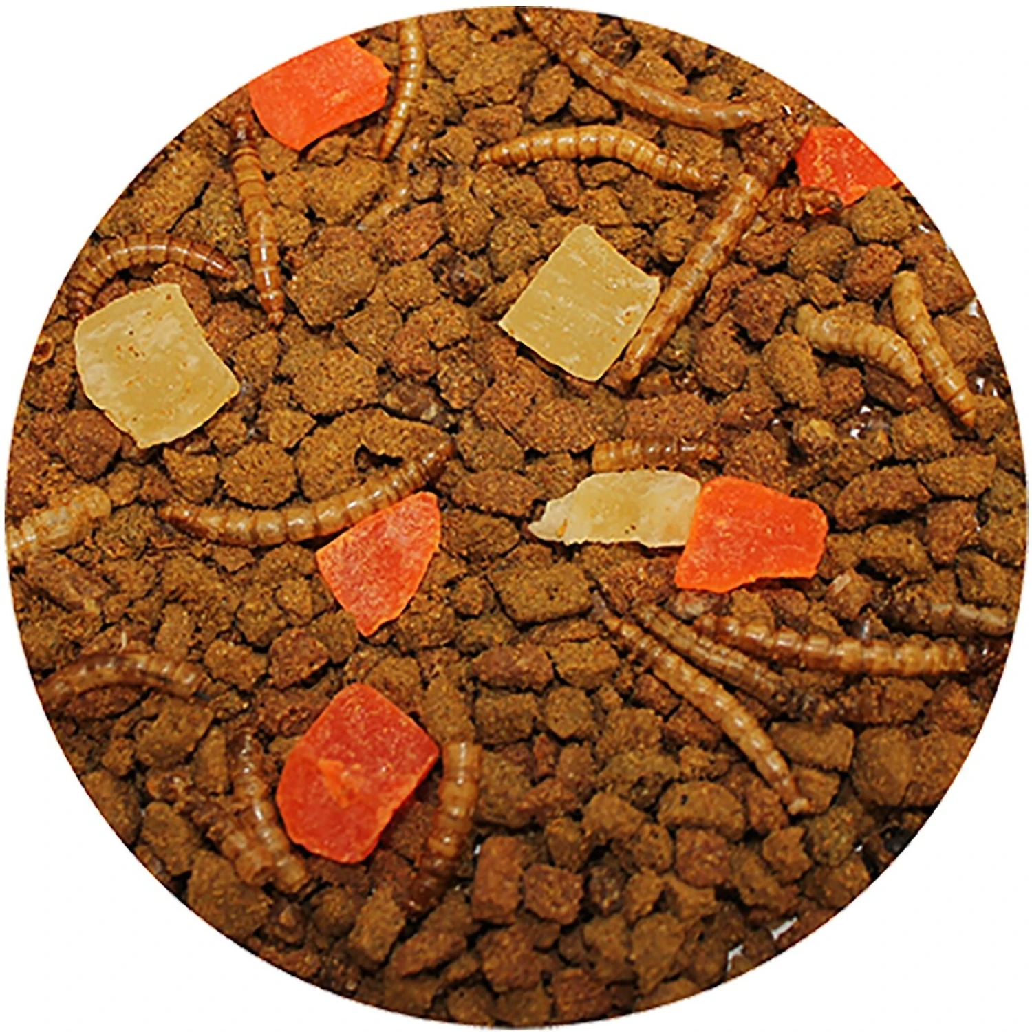 Exotic Nutrition Opossum Complete Opossum Food, 1-lb Bag 3 Exotic Nutrition Opossum Complete Opossum Food, 1-lb Bag - Image 3