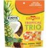 Exotic Nutrition Critter Selects Tropical Trio Small Animal Treats, 4.5-oz Bag