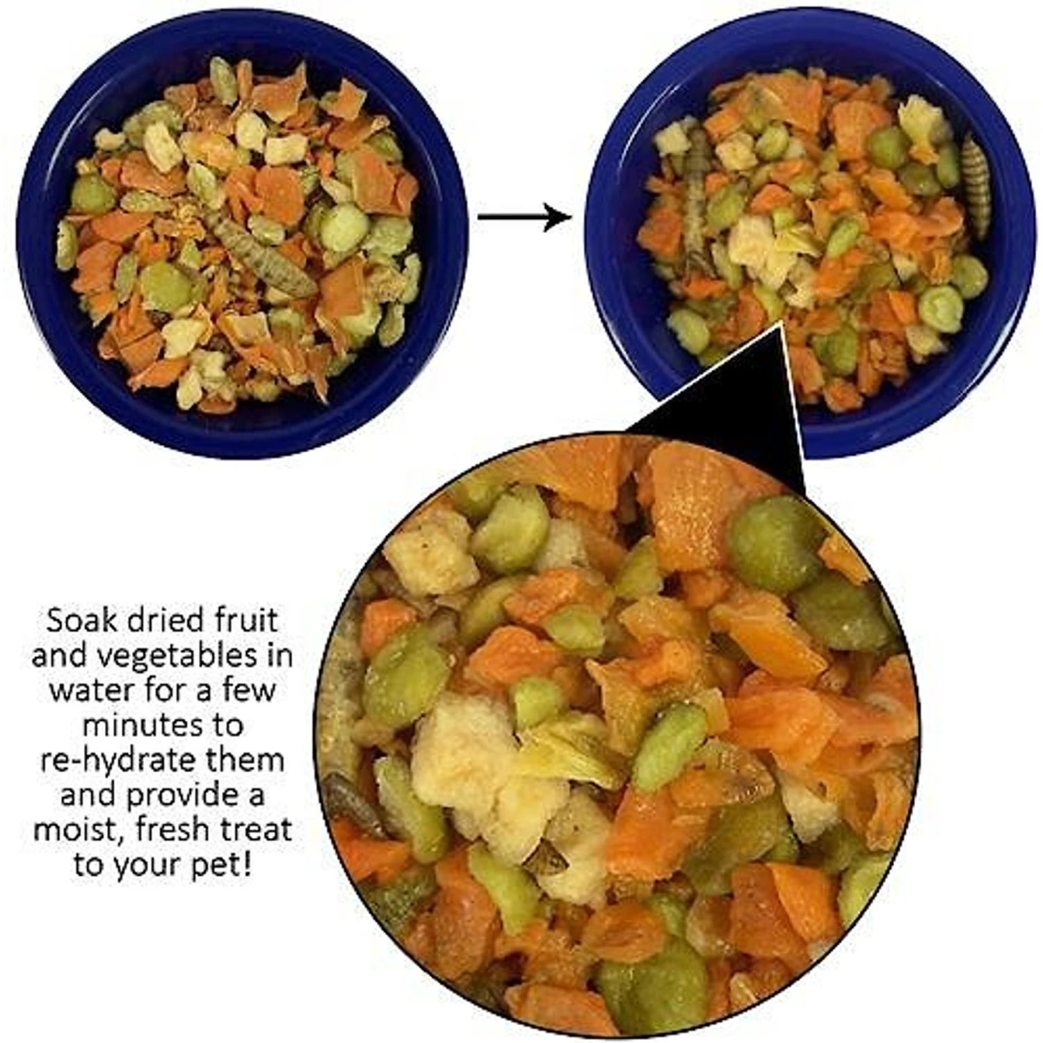 Exotic Nutrition Critter Selects Hedgie Bugs & Veggies Hedgehog Treats, 2.75-oz Bag 4 Exotic Nutrition Critter Selects Hedgie Bugs & Veggies Hedgehog Treats, 2.75-oz Bag - Image 4