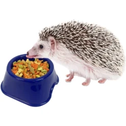 Exotic Nutrition Critter Selects Hedgie Bugs & Veggies Hedgehog Treats, 2.75-oz Bag 9 Exotic Nutrition Critter Selects Hedgie Bugs & Veggies Hedgehog Treats, 2.75-oz Bag -MiniMates Shop 220429 PT4. AC SS1800 V1638569293
