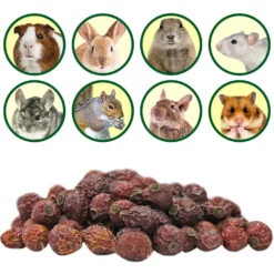 Exotic Nutrition Critter Selects Rose Hips Chinchilla Treats, 3-oz Bag -MiniMates Shop 220437 PT3. AC SS1800 V1666189279