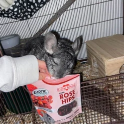 Exotic Nutrition Critter Selects Rose Hips Chinchilla Treats, 3-oz Bag -MiniMates Shop 220437 PT6. AC SS1800 V1666185503