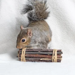 Front Page -MiniMates Shop 220465 PT1. AC SS1800 V1665780692