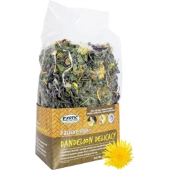 Exotic Nutrition Pasture Plus+ Dandelion Delicacy Rabbit Treats, 6-oz Box