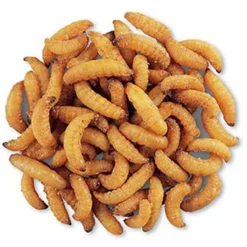 Exotic Nutrition Wax Snax Small Animal Treats, 1-oz Bag -MiniMates Shop 220481 PT2. AC SS1800 V1666184714