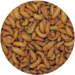 Exotic Nutrition Wax Snax Small Animal Treats, 1-oz Bag -MiniMates Shop 220481 PT3. AC SS1800 V1666130417