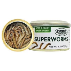 Exotic Nutrition Superworms Hedgehog Treats, 1.2-oz Can -MiniMates Shop 220488 PT3. AC SS1800 V1666184717