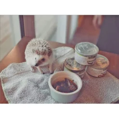 Exotic Nutrition Crickets Hedgehog Treats, 1.2-oz Can -MiniMates Shop 220490 PT3. AC SS1800 V1666184334