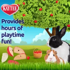 Kaytee Combo Chews Apple Slices Small Pet Toy, 3 Count -MiniMates Shop 221851 PT5. AC SS1800 V1667864998