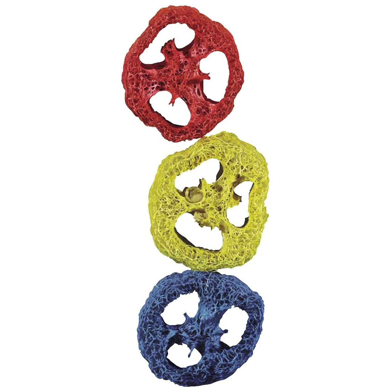 Kaytee Crispy Chews Small Pet Toy, 3 Count 2 Kaytee Crispy Chews Small Pet Toy, 3 Count - Image 2