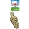 Kaytee Woven Carrot Toss Small Pet Toy