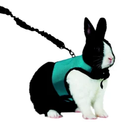 Kaytee Comfort Harness & Stretchy Leash, X-Large, Assorted Colors -MiniMates Shop 221907 PT4. AC SS1800 V1667864031