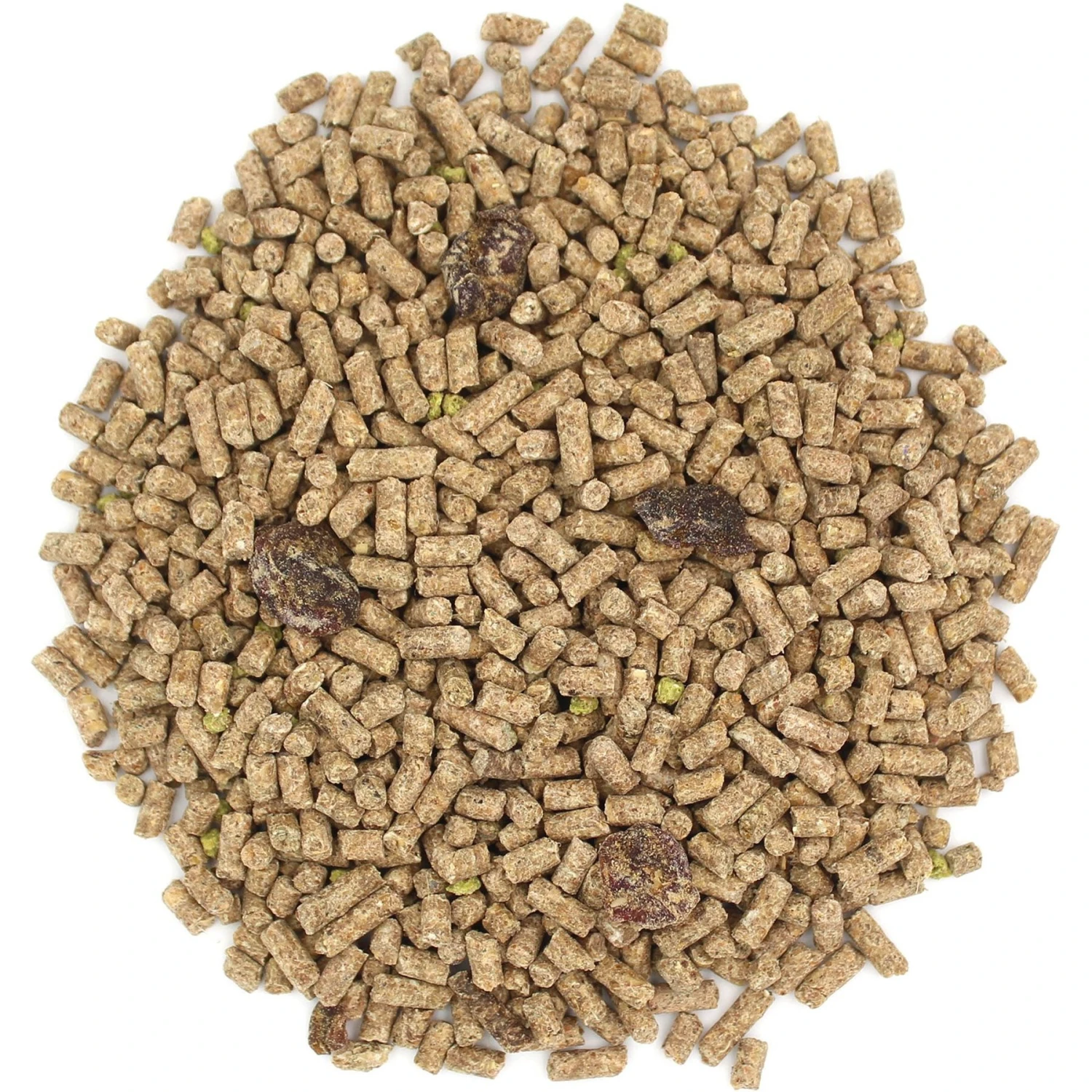 Sunseed Vita Prima Sugar Glider Food, 1.75-lb Bag 3 Sunseed Vita Prima Sugar Glider Food, 1.75-lb Bag - Image 3