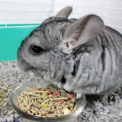 Sunseed Vita Prima Chinchilla Food, 3-lb Bag -MiniMates Shop 227018 PT3. AC SS1800 V1666650528