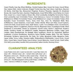 Sunseed Vita Prima Chinchilla Food, 3-lb Bag -MiniMates Shop 227018 PT4. AC SS1800 V1666650829