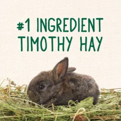 Sunseed Vita Balance Adult Rabbit Food, 4-lb Bag -MiniMates Shop 227034 PT5. AC SS1800 V1666651869