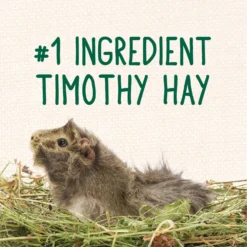 Sunseed Vita Balance Guinea Pig Food, 4-lb Bag -MiniMates Shop 227036 PT5. AC SS1800 V1666652274