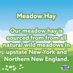 Sweet Meadow Farm Sweet Meadow Hay Small Pet Food, 20-oz Bag -MiniMates Shop 227792 PT2. AC SS1800 V1665438381