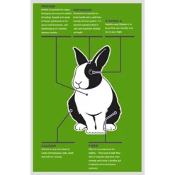 Sweet Meadow Farm Timothy Pellets Adult Rabbit Food 8 Sweet Meadow Farm Timothy Pellets Adult Rabbit Food -MiniMates Shop 227823 PT2. AC SS1800 V1694095729