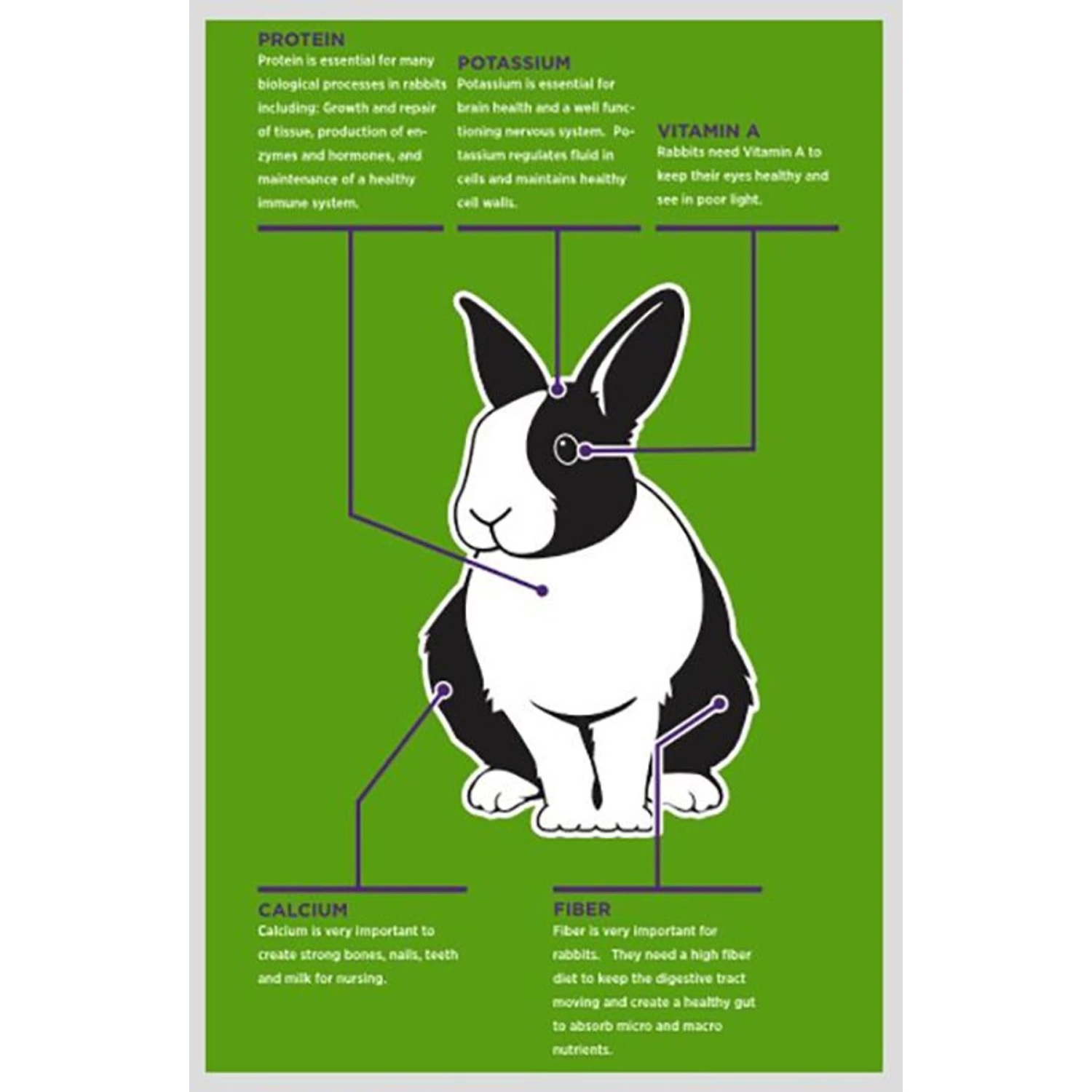 Sweet Meadow Farm Timothy Pellets Adult Rabbit Food 3 Sweet Meadow Farm Timothy Pellets Adult Rabbit Food - Image 3