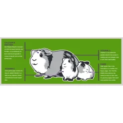 Sweet Meadow Farm Original Blend Pellets Guinea Pig Food 7 Sweet Meadow Farm Original Blend Pellets Guinea Pig Food -MiniMates Shop 227827 PT2. AC SS1800 V1694097926