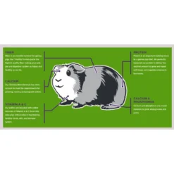 Sweet Meadow Farm Premium Timothy Pellets Adult Guinea Pig Food 6 Sweet Meadow Farm Premium Timothy Pellets Adult Guinea Pig Food -MiniMates Shop 227831 PT2. AC SS1800 V1694097980