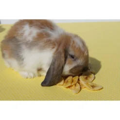 Sweet Meadow Farm Banana Chips Small Pet & Bird Treats, 5.75-oz Bag -MiniMates Shop 227837 PT3. AC SS1800 V1615933642