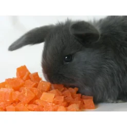 Sweet Meadow Farm Dried Papaya Small Pet & Bird Treats, 9-oz Bag 6 Sweet Meadow Farm Dried Papaya Small Pet & Bird Treats, 9-oz Bag -MiniMates Shop 227839 PT3. AC SS1800 V1615936284