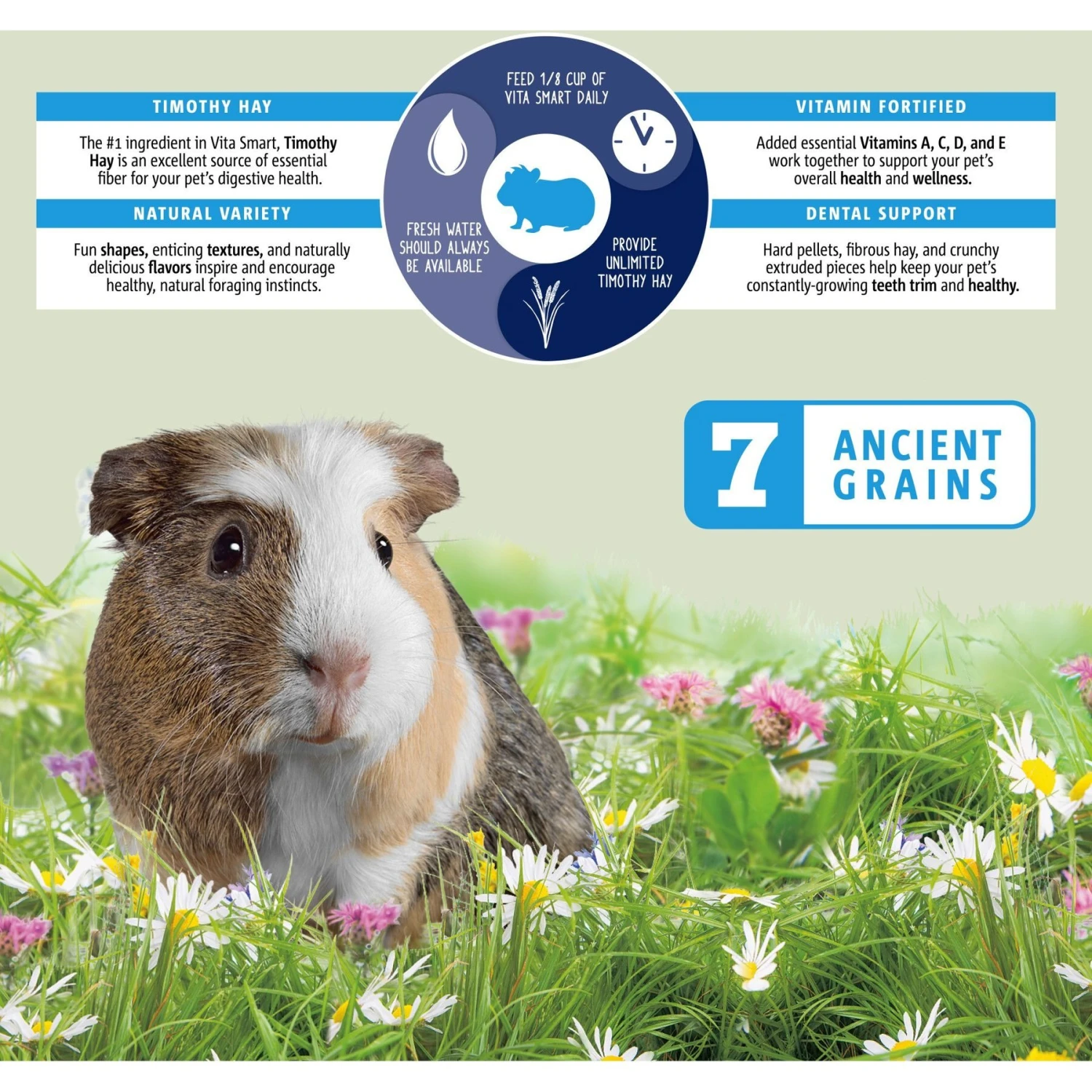 Vitakraft Vita Smart Complete Nutrition Premium Fortified Blend Timothy Hay Guinea Pig Food, 8-lb Bag 5 Vitakraft Vita Smart Complete Nutrition Premium Fortified Blend Timothy Hay Guinea Pig Food, 8-lb Bag - Image 5