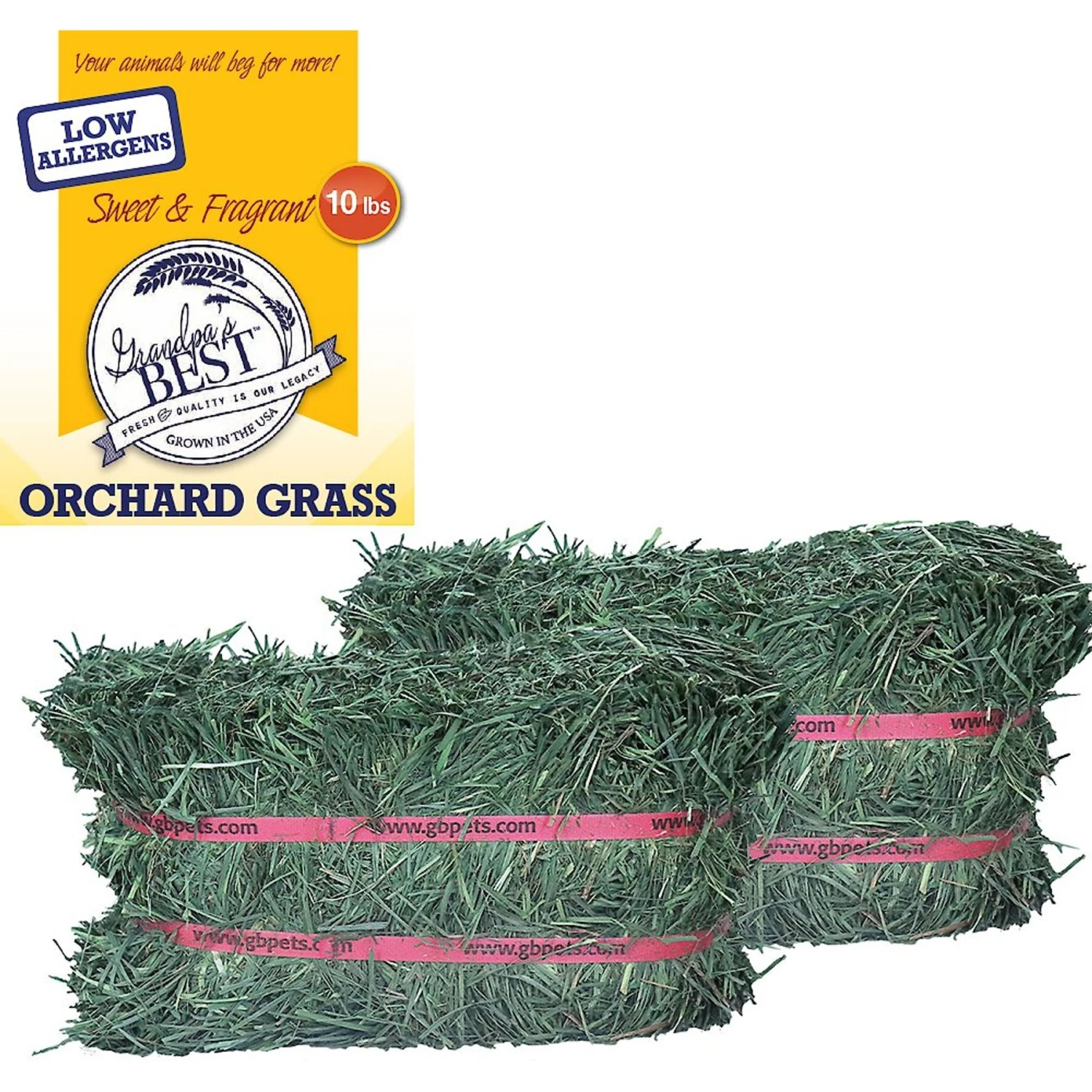 Grandpa's Best Orchard Grass Hay Small Pet Food 1 Grandpa's Best Orchard Grass Hay Small Pet Food