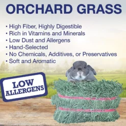 Grandpa's Best Orchard Grass Hay Small Pet Food 8 Grandpa's Best Orchard Grass Hay Small Pet Food -MiniMates Shop 234106 PT3. AC SS1800 V1624661297